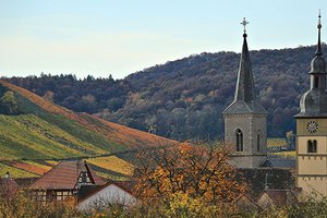 Hüttenheimer Kirchen umrahmt von Weinbergen
