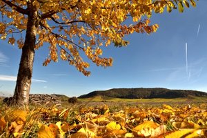 Herbstimmung um den Bullenheimer Berg