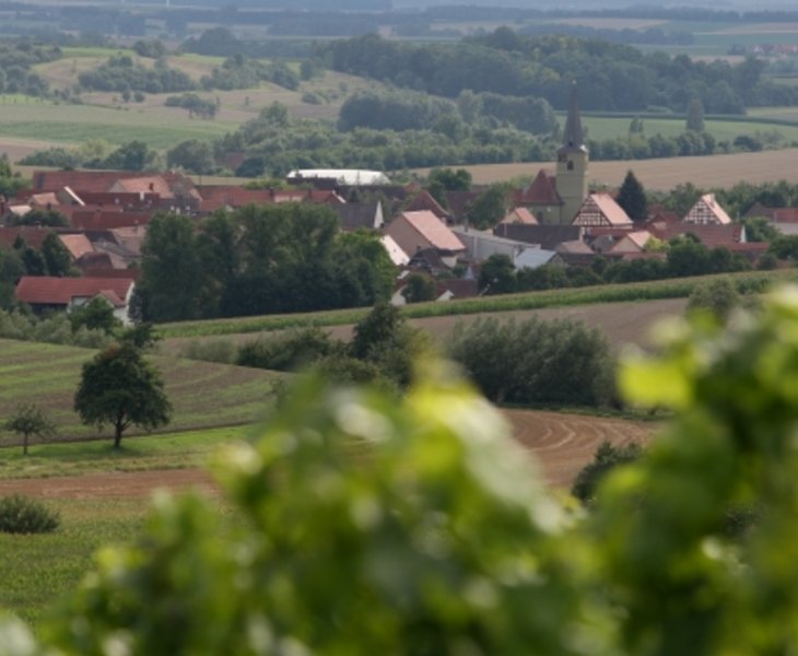 Aussicht auf das Dorf Reusch im Weinparadies
